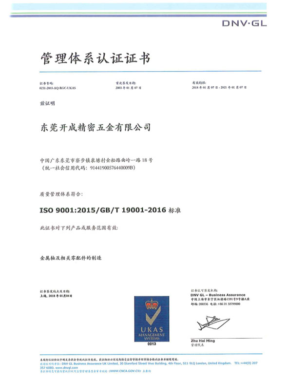 ISO9001管理体系认证中文版